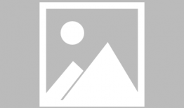 网红车晚晚吃瓜,网红车晚晚带你吃遍娱乐圈大瓜