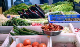 网红吃瓜和大咖,揭秘娱乐圈幕后真相