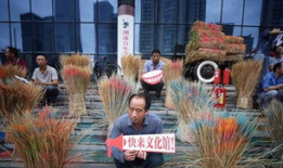 朝阳网吃瓜群众事件,网络舆论场上的风波与反思