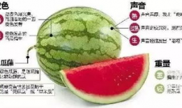 湘潭网红吃瓜群微信,揭秘网络社交圈的趣味与热议