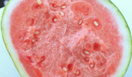 吃瓜网颜色,揭秘网络世界多彩生活