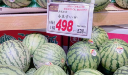 日网吃瓜,娱乐圈最新吃瓜大揭秘！